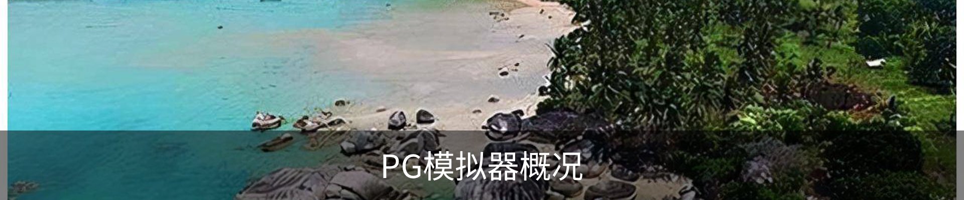 PG模拟器概况